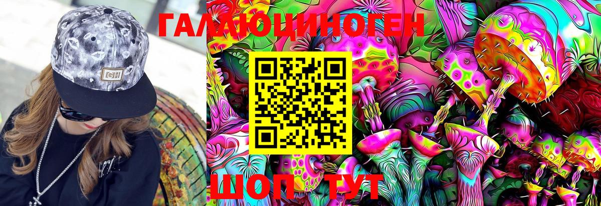 Галлюциногенные грибы GOLDEN TEACHER Кинель